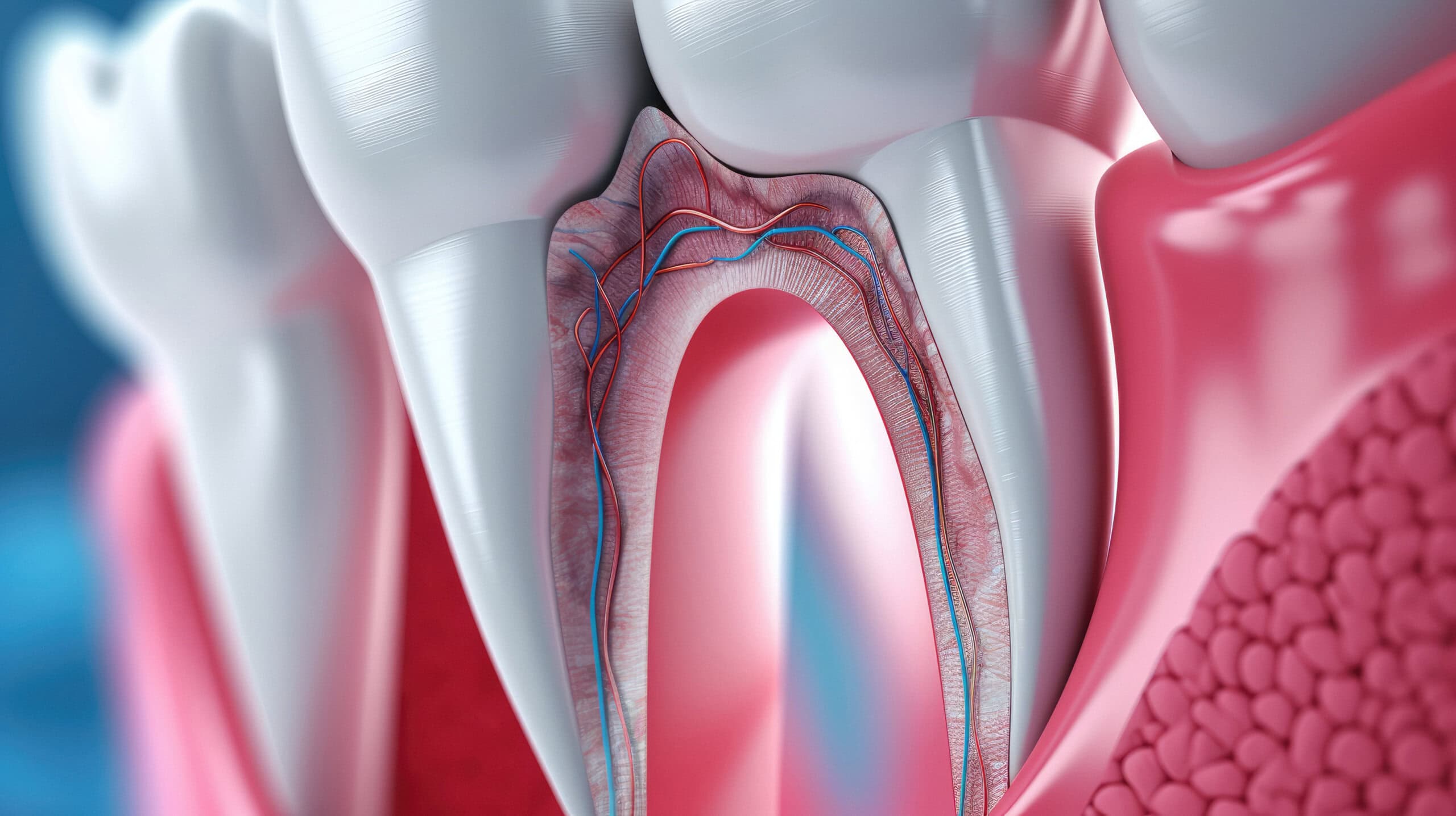 Čo je endodoncia a kedy ju potrebujeme?